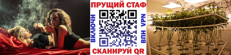 Цена Ливны Alpha PVP  Конопля  Меф мяу мяу  МЕТАДОН  Cocaine  ГАШ  Псилоцибиновые грибы 