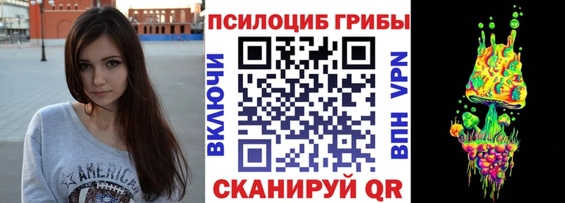 закладки omg зеркало Галлюциногенные грибы Psilocybe Ливны
